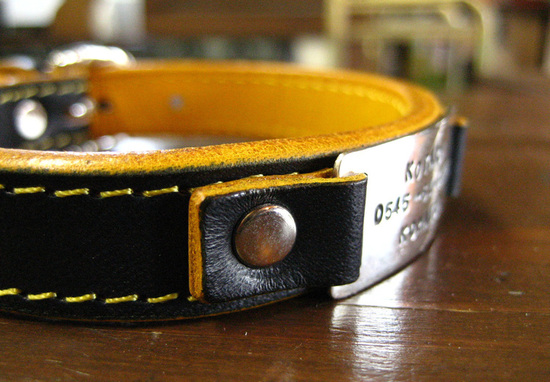 �摜(550x382)�E�g��摜(760x528)